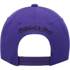 Mitchell & Ness Sacramento Kings MVP Team Two-Tone 2.0 Stretch-Snapback Hat