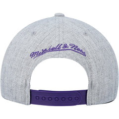 Mitchell & Ness Toronto Raptors Hardwood Classics 2.0 Snapback Hat