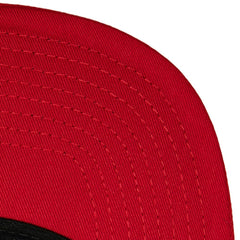 Light Blue/Red Chicago White Sox Mitchell & Ness Hometown Snapback Hat