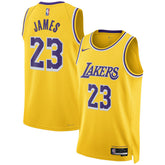Nike LeBron James Los Angeles Lakers Unisex Swingman Jersey