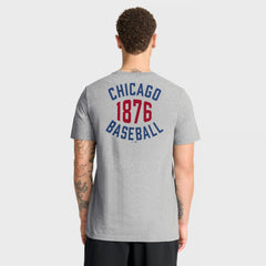 Heather Gray Chicago Cubs Nike Cooperstown 2-Hit T-Shirt