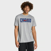 Heather Gray Chicago Cubs Nike Swoosh Legend Dri-FIT T-Shirt