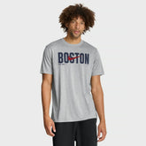 Heather Gray Boston Red Sox Nike Swoosh Legend Dri-FIT T-Shirt