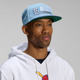 Denim St. Louis Cardinals Fanatics Twinbill Snapback Hat