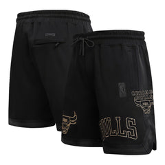 Chicago Bulls Pro Standard Shorts
