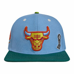 Chicago Bulls Pro Standard Retro Program 2-Tone Snapback Hat