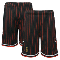 Mitchell & Ness Chicago Bulls Youth Hardwood Classics Swingman Shorts