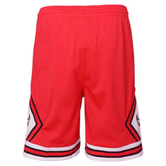 Mitchell & Ness Chicago Bulls Youth Hardwood Classics Swingman Shorts