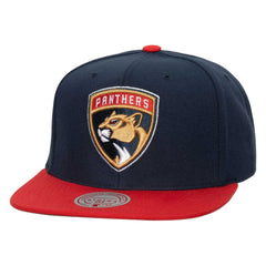 NHL Florida Panthers Mitchell & Ness Core Team Ground 2.0 Snapback Hat
