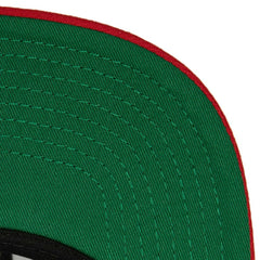 NHL Florida Panthers Mitchell & Ness Core Team Ground 2.0 Snapback Hat
