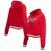Washington Wizards Pro Standard Women's Script Tail Cropped Pullover Hoodie