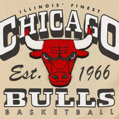 Chicago Bulls Qore Women's Oversized Cozy Mock Neck Pullover Sweatshirt