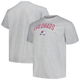 NHL Colorado Avalanche Profile Big & Tall Arch Over Logo T-Shirt