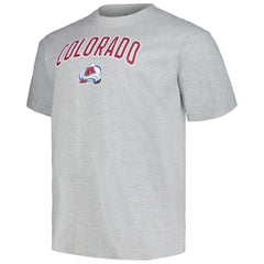 NHL Colorado Avalanche Profile Big & Tall Arch Over Logo T-Shirt