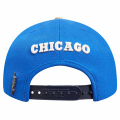 Chicago Bulls Pro Standard Legacy Snapback Hat