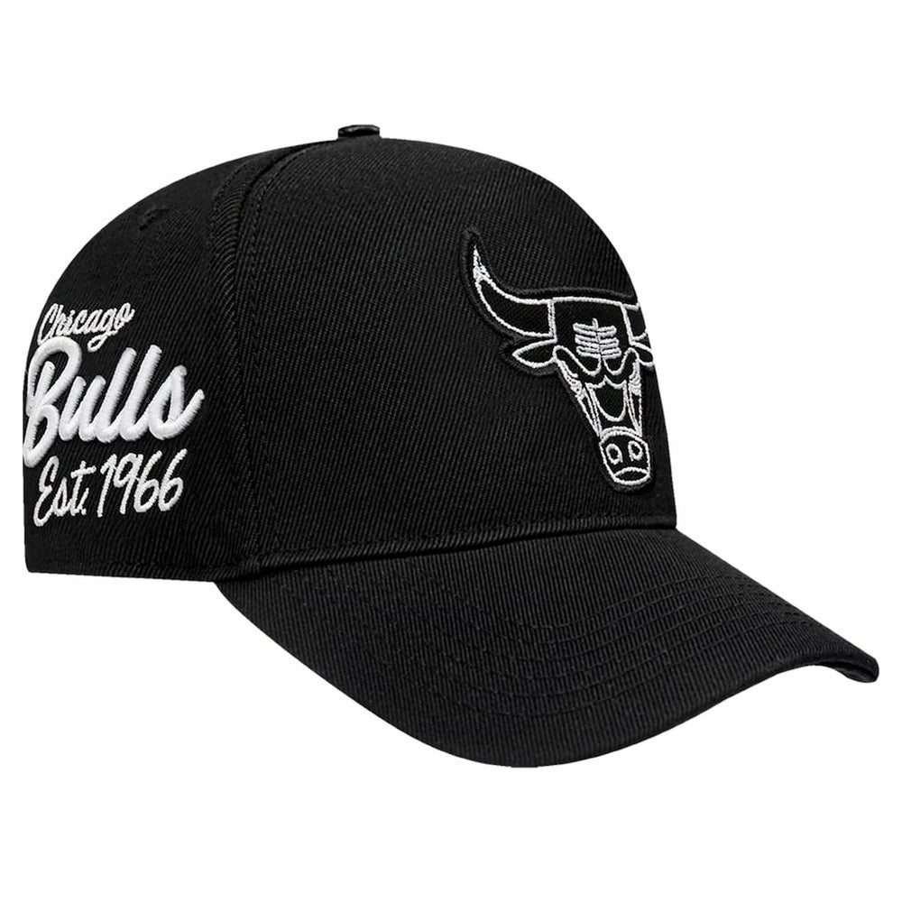 Chicago Bulls Pro Standard Paint the City Pinch Front Snapback Hat