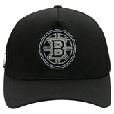 NHL Boston Bruins Pro Standard Paint the City Pinch Front Snapback Hat