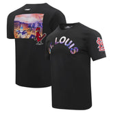 Black St. Louis Cardinals Pro Standard Cityscape T-Shirt