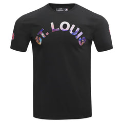 Black St. Louis Cardinals Pro Standard Cityscape T-Shirt