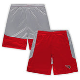 Big & Tall Team Logo Shorts - Arizona Cardinals Shorts