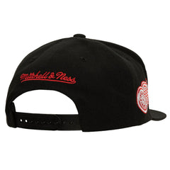 NHL Detroit Red Wings Mitchell & Ness Retro Script Colorblock Snapback Hat