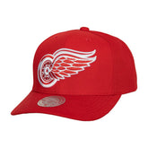 NHL Detroit Red Wings Mitchell & Ness Team Ground Pro Adjustable Hat