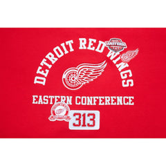 NHL Detroit Red Wings Pro Standard Women's Area Code Cropped Pullover Sweatshirt