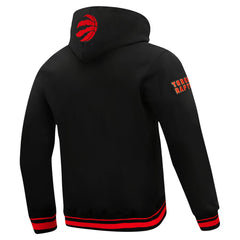 Toronto Raptors Pro Standard Area Code Pullover Hoodie