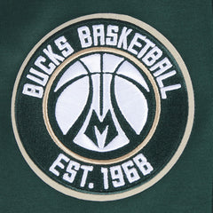 Milwaukee Bucks Pro Standard Split Logo Pullover Hoodie