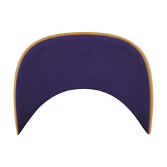 47 brand Sacramento Kings '47 Barnes Hitch Adjustable Hat