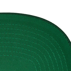 NHL Minnesota Wild Mitchell & Ness Core Team Ground Pro Adjustable Hat