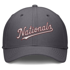 Gray Washington Nationals Nike Swoosh Performance Flex Hat