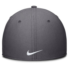 Gray San Francisco Giants Nike Swoosh Performance Flex Hat