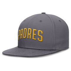 Gray San Diego Padres Nike Performance True Fitted Hat