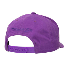 Mitchell & Ness Phoenix Suns Washed Out Tonal Logo Snapback Hat