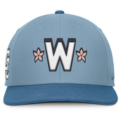 Light Blue/Blue Washington Nationals Nike 2025 City Connect Pro Performance Snapback Hat