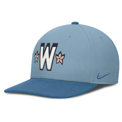 Light Blue/Blue Washington Nationals Nike 2025 City Connect Pro Performance Snapback Hat