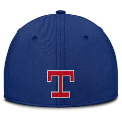 Gray/Royal Texas Rangers Nike Rise Swoosh Performance Flex Hat