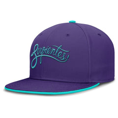 Purple Arizona Diamondbacks Nike 2025 City Connect True Performance Fitted Hat