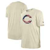 Cream Cincinnati Reds New Era Americana Flag Fill T-Shirt
