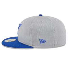 Gray/Royal Milwaukee Brewers New Era 2025 Batting Practice 59FIFTY Fitted Hat