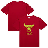 Mitchell & Ness Chicago Bulls Hardwood Classics Neon Nights Premium T-Shirt sale