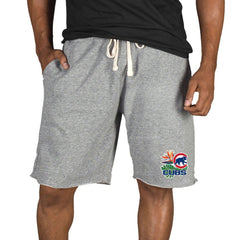 Gray Chicago Cubs Concepts Sport Mainstream Tri-Blend Shorts