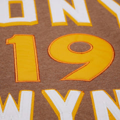 Brown Tony Gwynn San Diego Padres Mitchell & Ness Legends Collection Vintage Logo Name & Number Fleece Pullover Sweatshirt