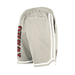 Stone Multi Patch Shorts - San Francisco 49ers Shorts