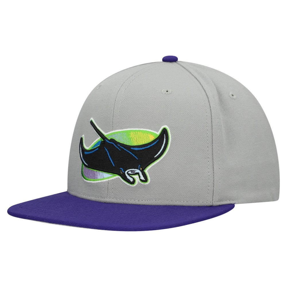 Gray Tampa Bay Rays Mitchell & Ness Cooperstown Collection Basic Flip Snapback Hat
