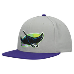 Gray Tampa Bay Rays Mitchell & Ness Cooperstown Collection Basic Flip Snapback Hat