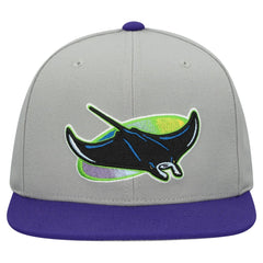 Gray Tampa Bay Rays Mitchell & Ness Cooperstown Collection Basic Flip Snapback Hat
