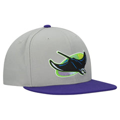 Gray Tampa Bay Rays Mitchell & Ness Cooperstown Collection Basic Flip Snapback Hat