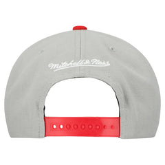 Gray Boston Red Sox Mitchell & Ness Cooperstown Collection Basic Flip Snapback Hat